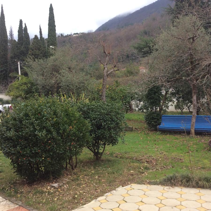 Guest House Dali Gagra Exterior photo
