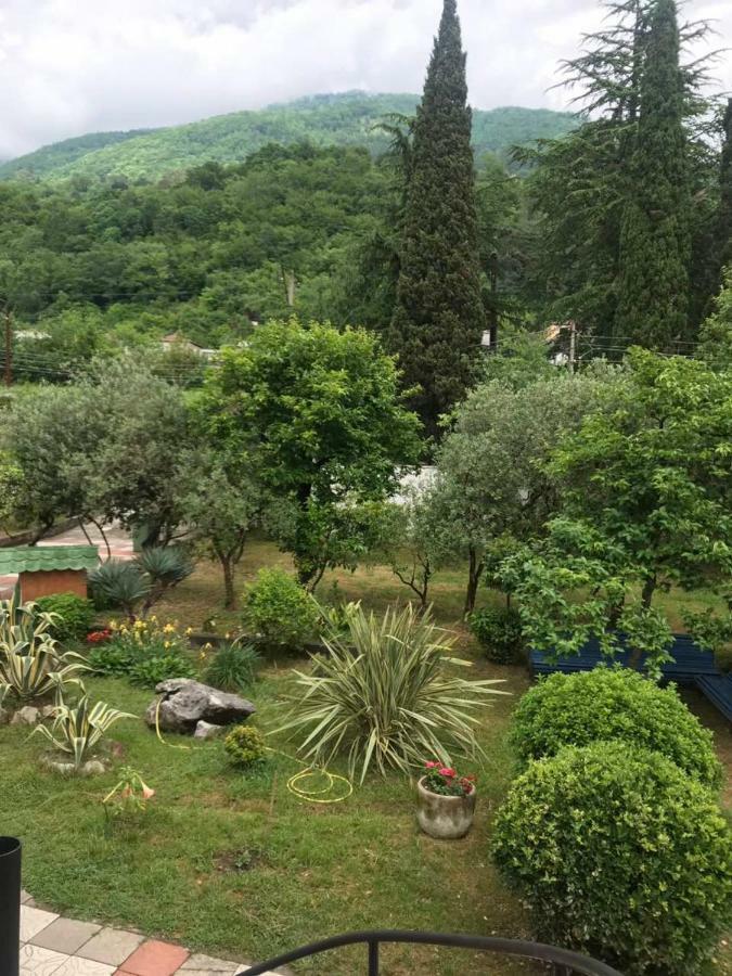 Guest House Dali Gagra Exterior photo